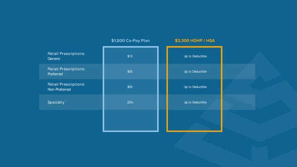 SingleOps 2025 Benefits Guide - Page 8