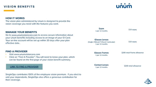 SingleOps 2025 Benefits Guide - Page 19