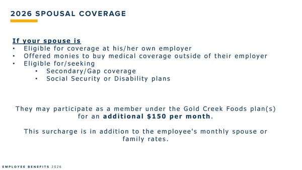 2026 Plant- New Hire Benefits Summary - Page 4