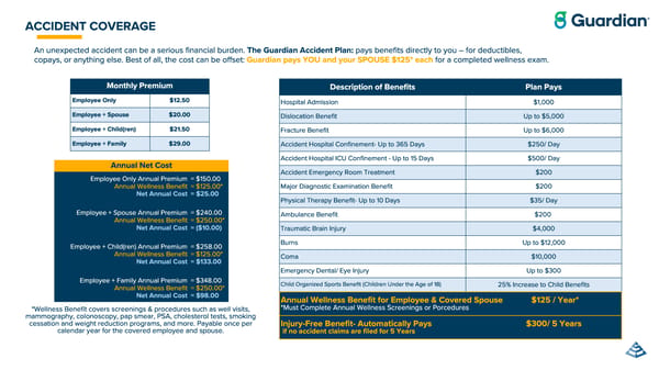 ClearVue Glass & Mirror Company Benefits Guide 2026 - Page 17