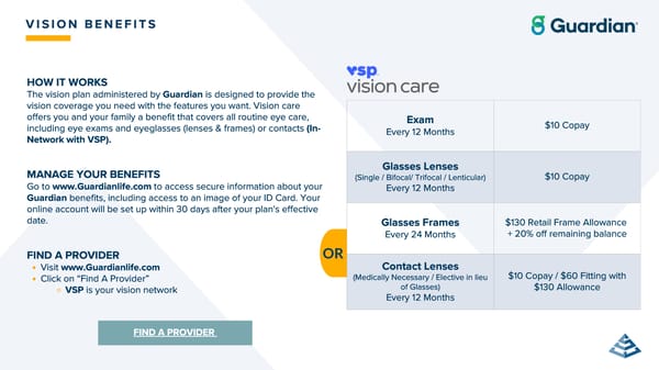 ClearVue Glass & Mirror Company Benefits Guide 2026 - Page 25