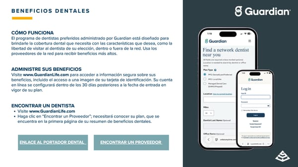 ClearVue Glass & Mirror Company: Guía de Beneficios 2026 - Page 22