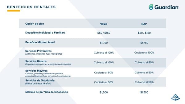 ClearVue Glass & Mirror Company: Guía de Beneficios 2026 - Page 24