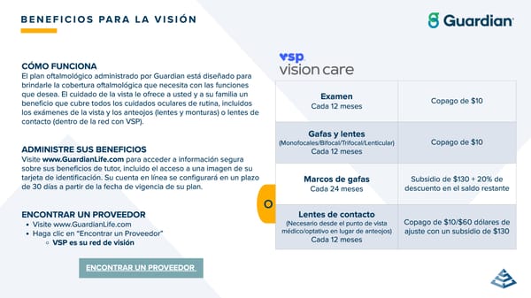 ClearVue Glass & Mirror Company: Guía de Beneficios 2026 - Page 25