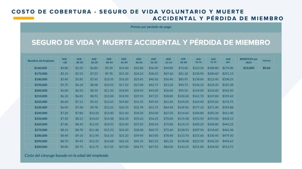ClearVue Glass & Mirror Company: Guía de Beneficios 2026 - Page 34